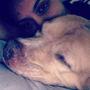 Meet your Posher, Sydney